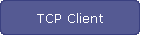 TCP Client
