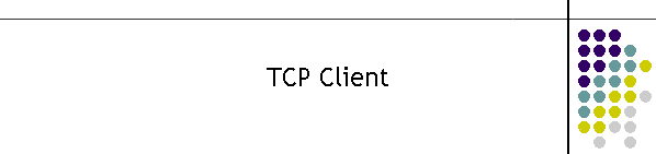 TCP Client