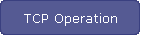 TCP Operation